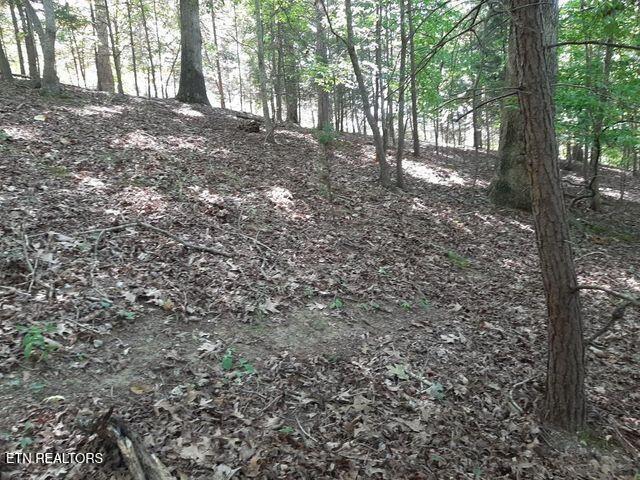 Deer Pond Circle, Lafollette, TN - Norris Lake Real Estate - Image# 12