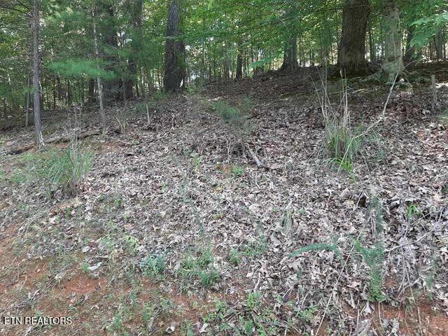Deer Pond Circle, Lafollette, TN - Norris Lake Real Estate - Image# 14