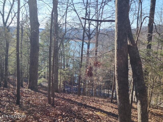 Deer Pond Circle, Lafollette, TN - Norris Lake Real Estate - Image# 9
