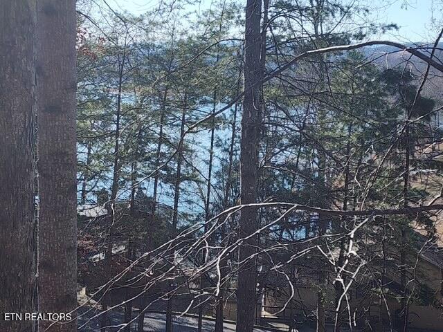 Deer Pond Circle, Lafollette, TN - Norris Lake Real Estate - Image# 5