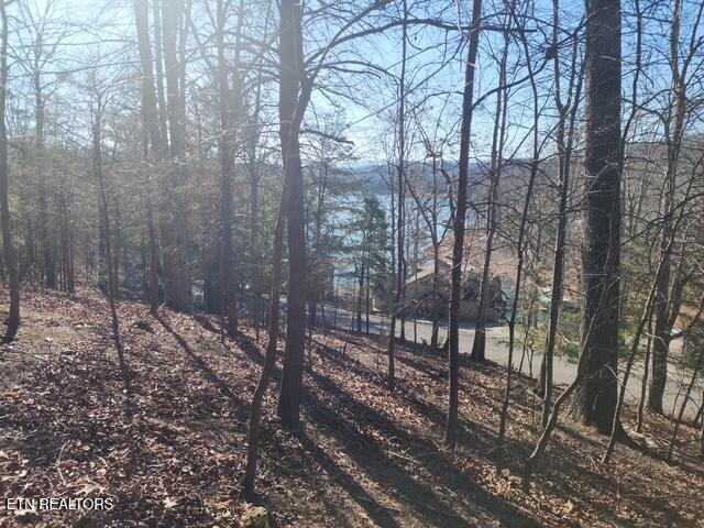 Deer Pond Circle, Lafollette, TN - Norris Lake Real Estate - Image# 3
