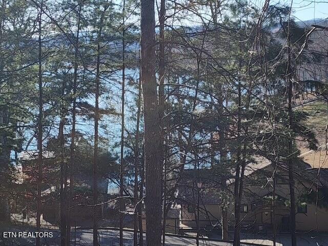 Deer Pond Circle, Lafollette, TN - Norris Lake Real Estate - Image# 6