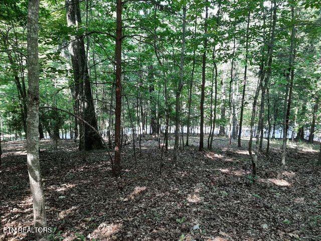 Deer Pond Circle, Lafollette, TN - Norris Lake Real Estate - Image# 15