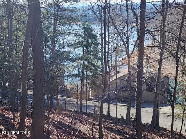 Deer Pond Circle, Lafollette, TN - Norris Lake Real Estate - Image# 4