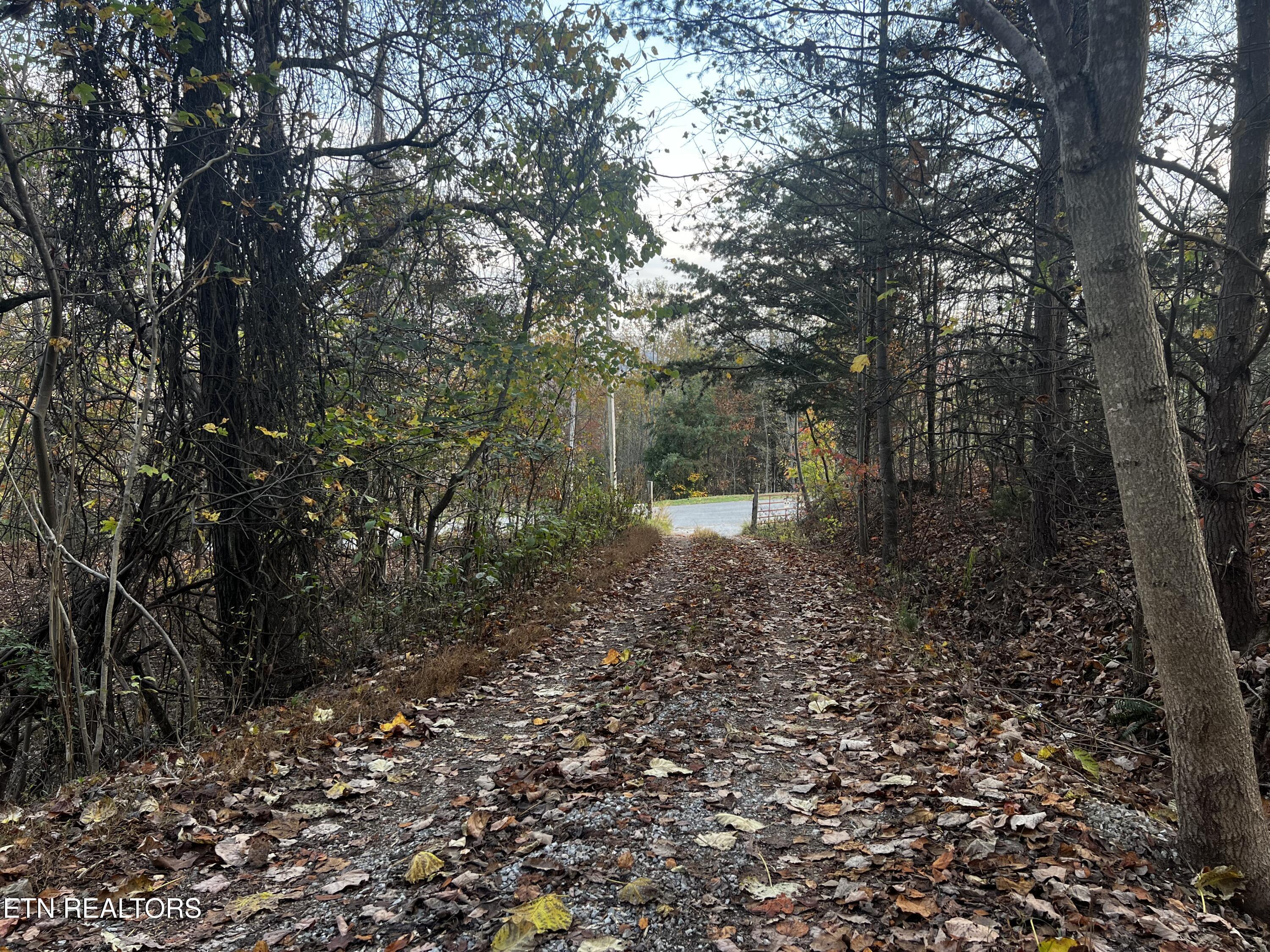 Norris Lake Real Estate - Image# 24