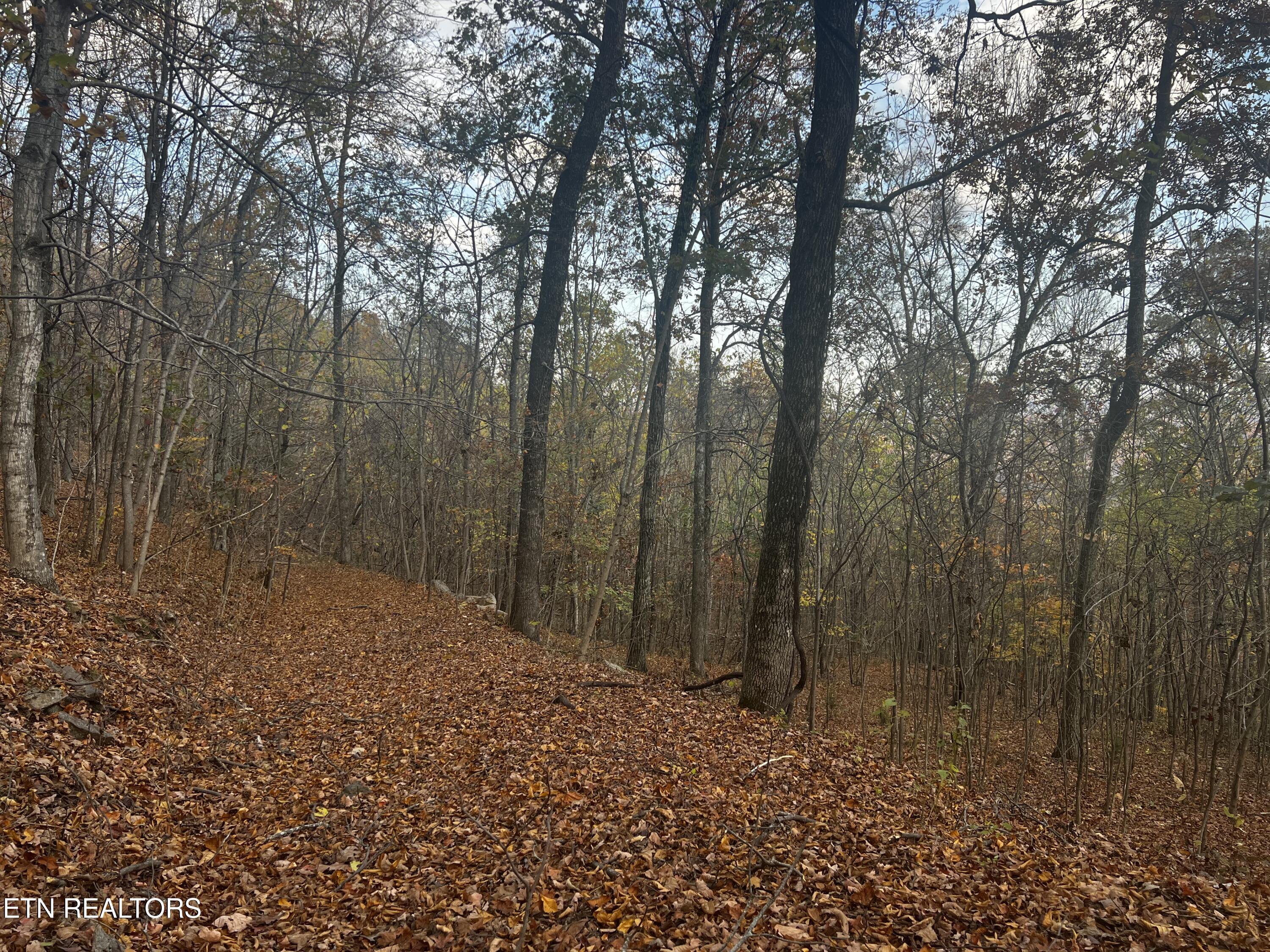 Norris Lake Real Estate - Image# 29