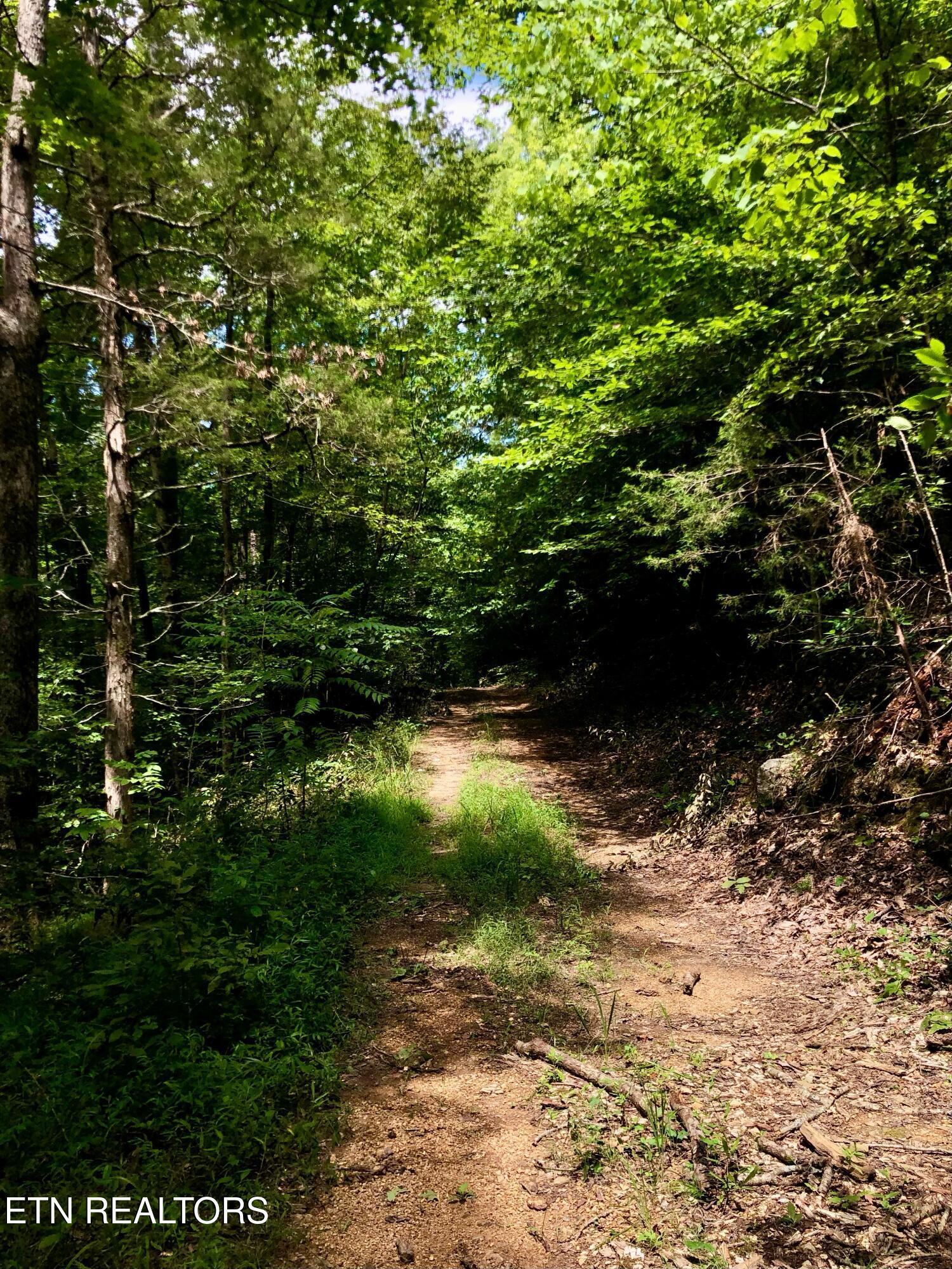River Ridge Road Tract 1, Maynardville, TN - Norris Lake Real Estate - Image# 2