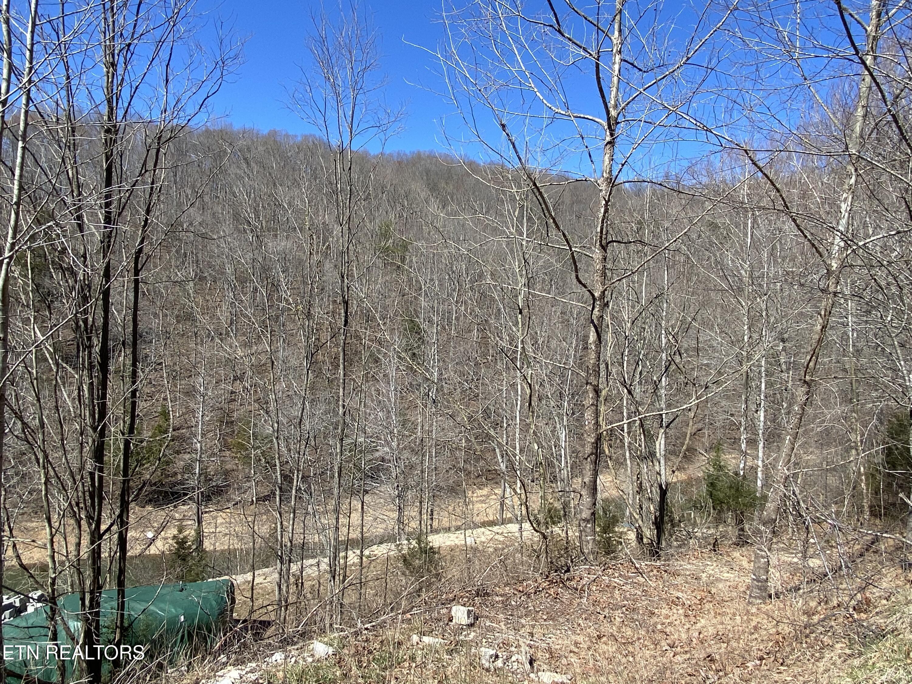 River Ridge Road Tract 1, Maynardville, TN - Norris Lake Real Estate - Image# 3
