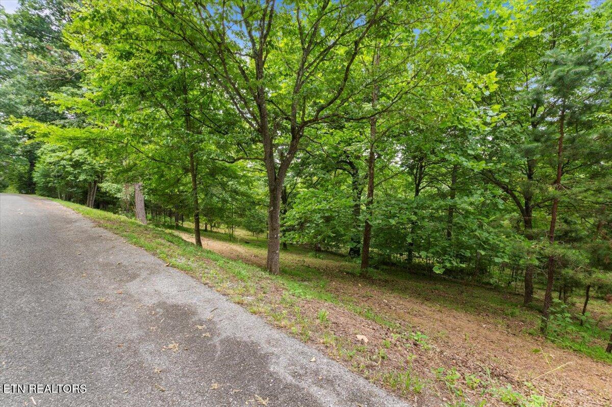 46, 47, 48 Bucks and Doe Lane, Lafollette, TN - Norris Lake Real Estate - Image# 2