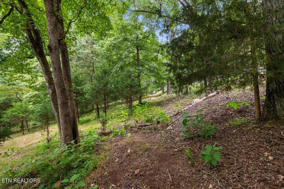 46, 47, 48 Bucks and Doe Lane, Lafollette, TN - Norris Lake Real Estate - Image# 5