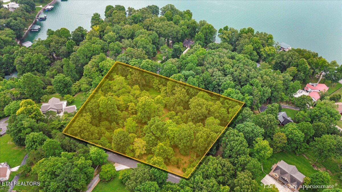 46, 47, 48 Bucks and Doe Lane, Lafollette, TN - Norris Lake Real Estate - Image# 7