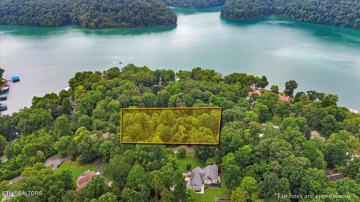 46, 47, 48 Bucks and Doe Lane, Lafollette, TN - Norris Lake Real Estate - Image# 8