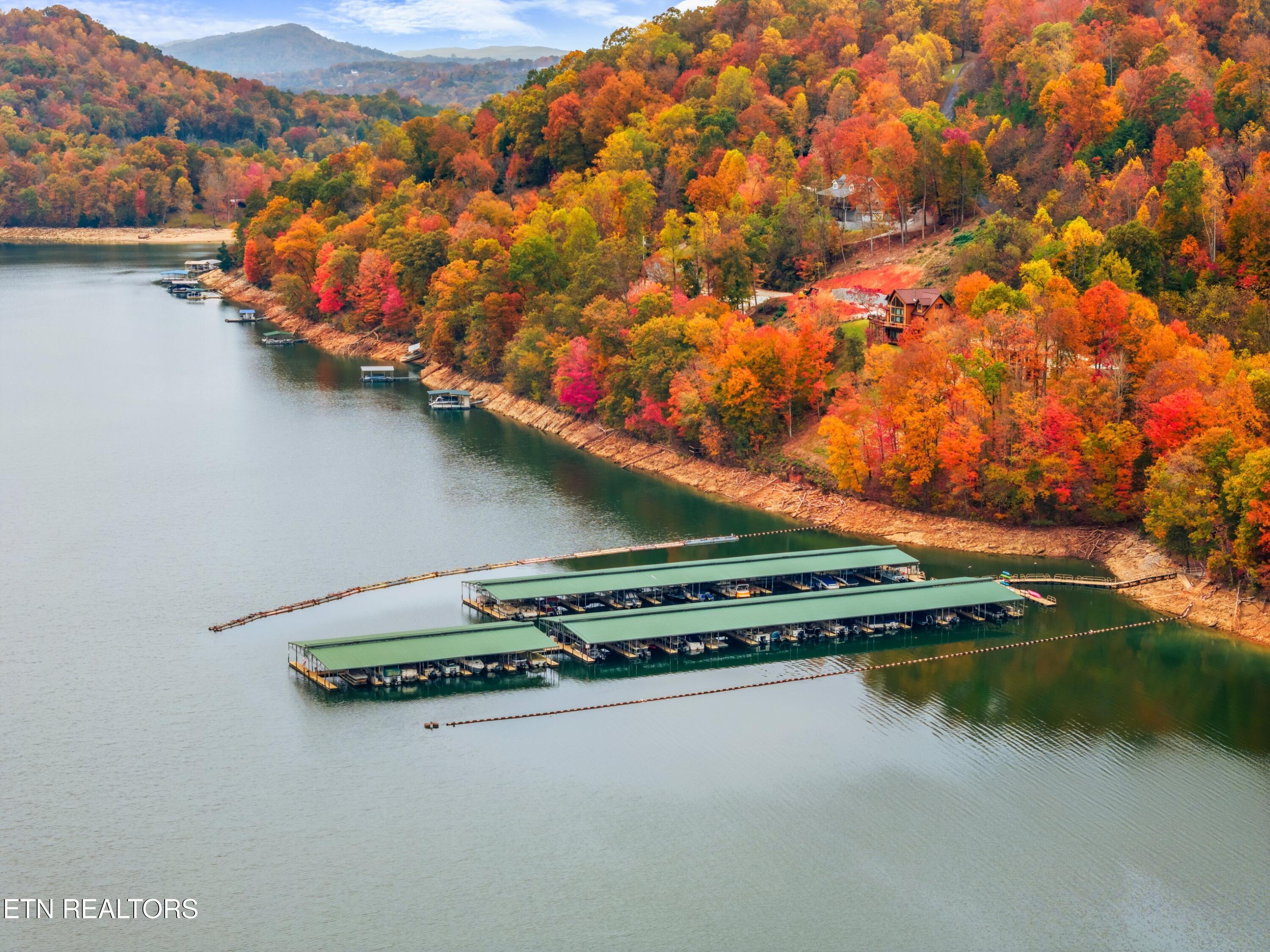 Norris Lake Real Estate - Image# 20
