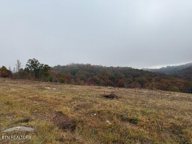 Norris Lake Real Estate - Image# 2