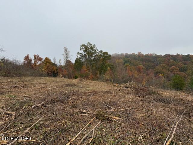 Norris Lake Real Estate - Image# 3