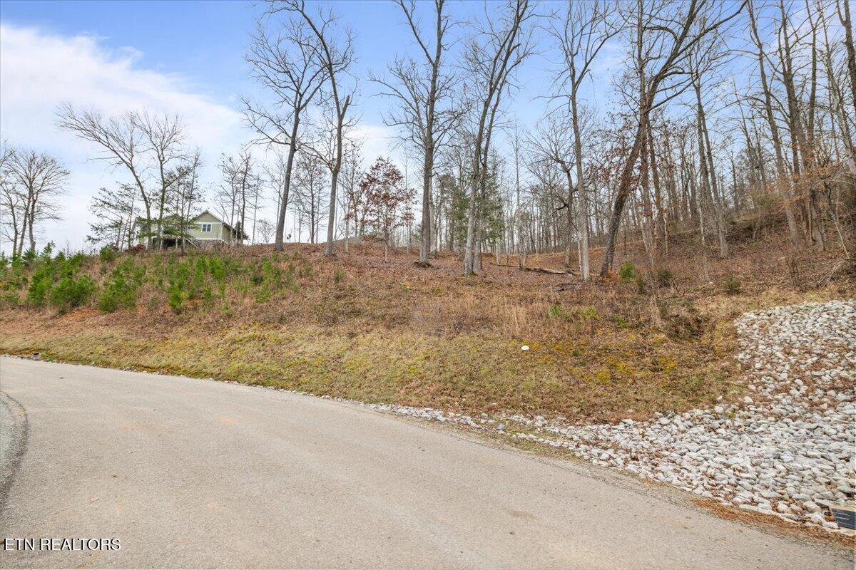 Norris Lake Real Estate - Image# 11