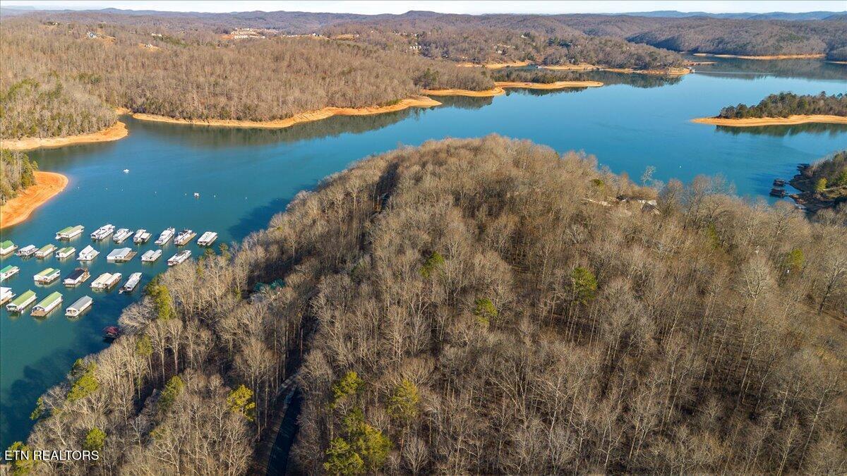 Shanghai Landing Lane, Lafollette, TN - Norris Lake Real Estate - Image# 3
