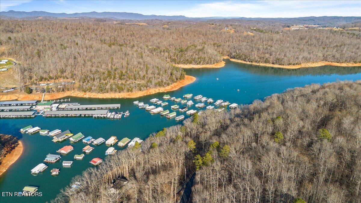 Shanghai Landing Lane, Lafollette, TN - Norris Lake Real Estate - Image# 5