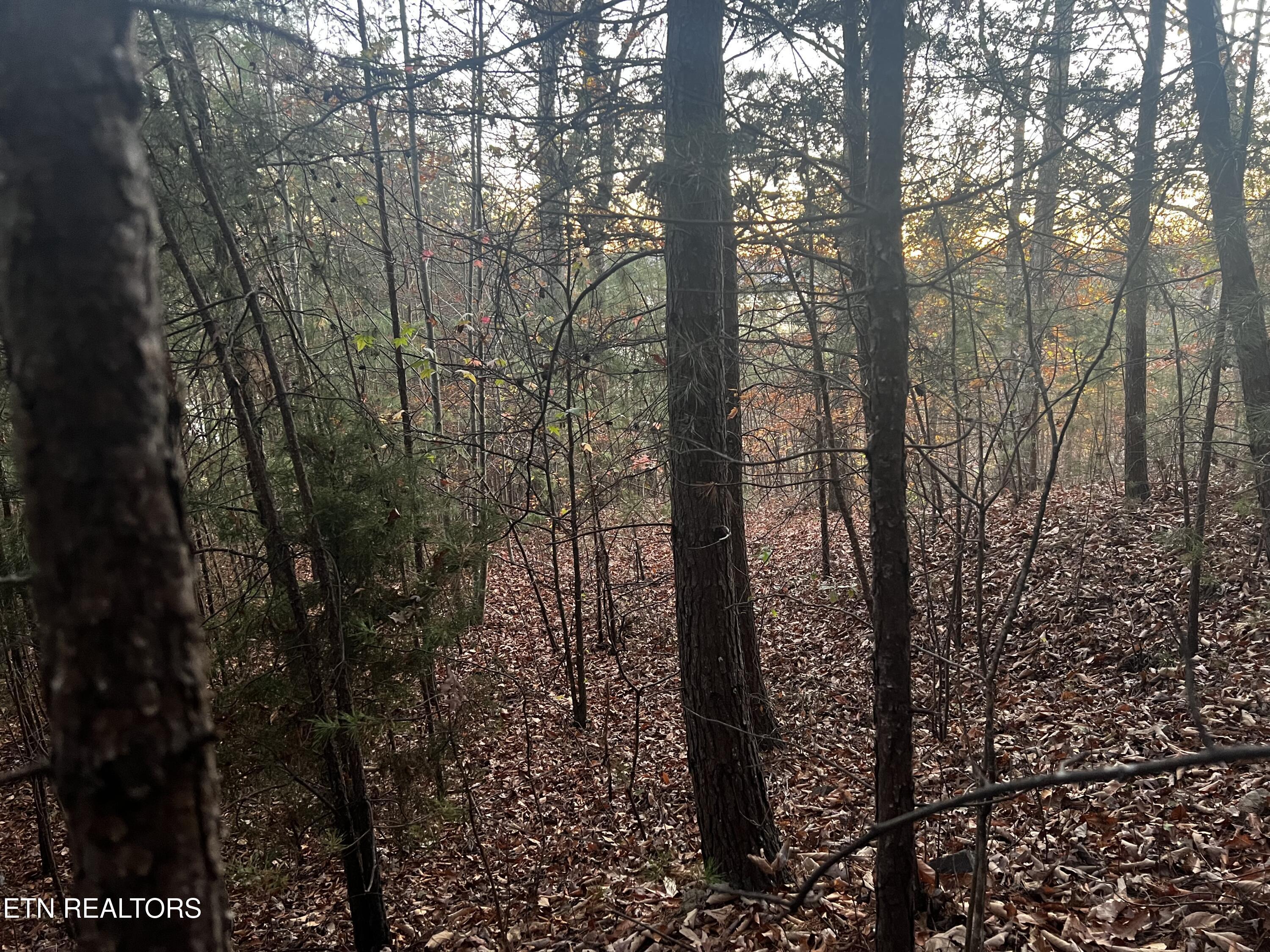 Norris Lake Real Estate - Image# 22