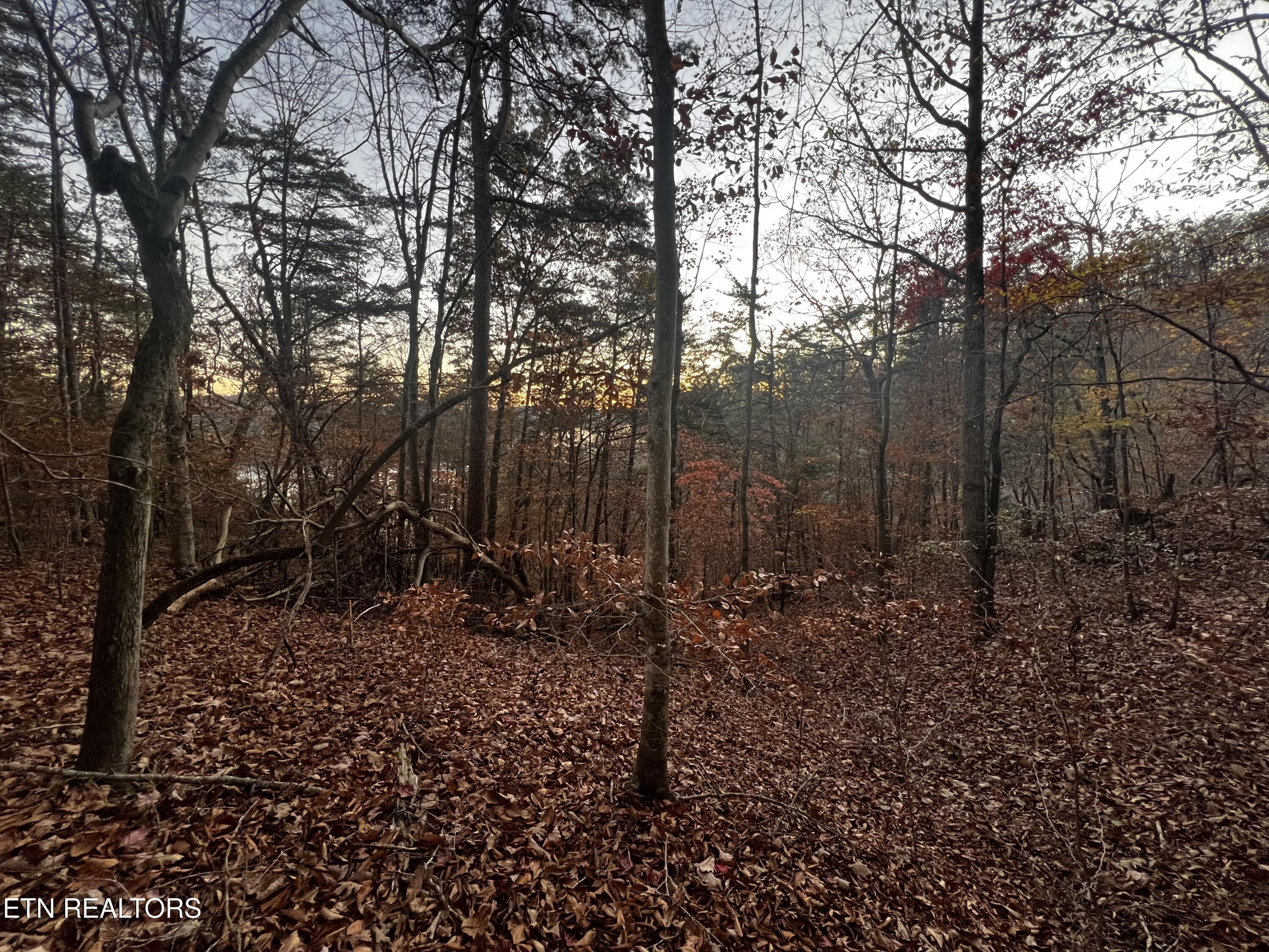 Norris Lake Real Estate - Image# 32