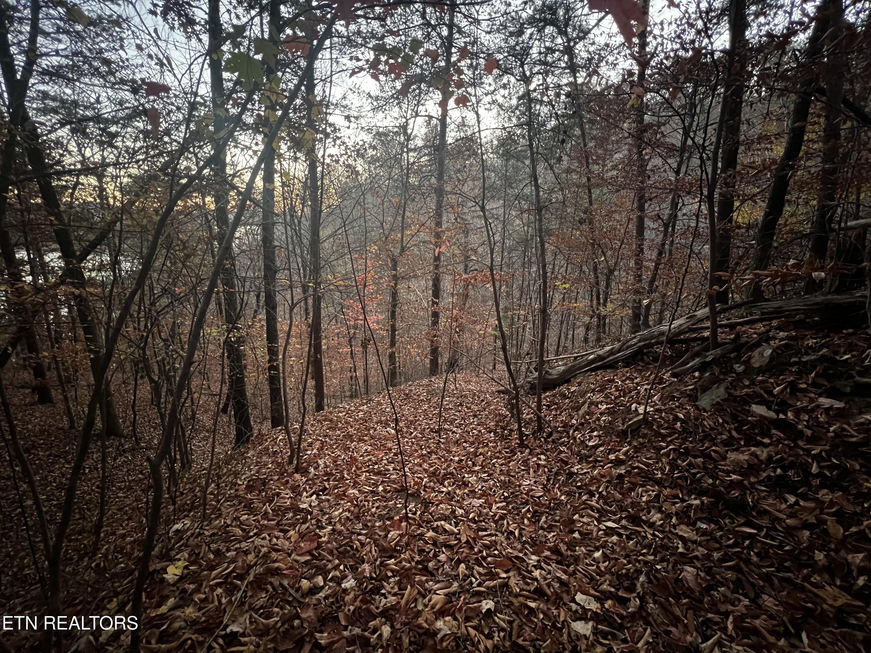 Norris Lake Real Estate - Image# 35