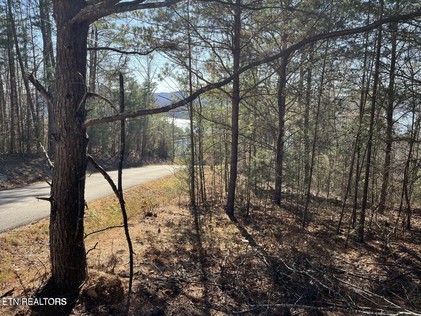 Norris Lake Real Estate - Image# 5