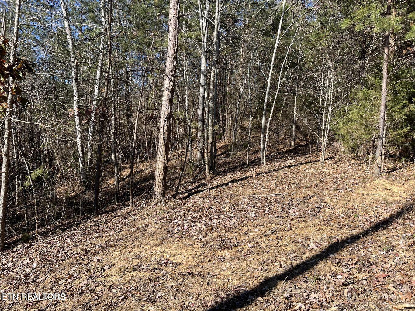 Norris Lake Real Estate - Image# 6