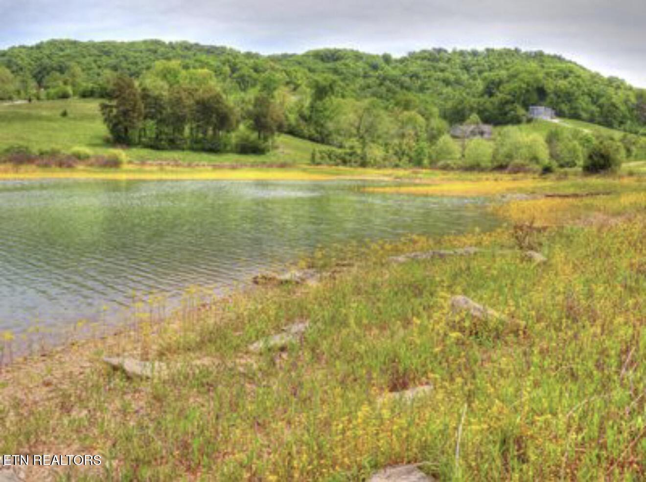 Lot 230 Ruth Circle, Sharps Chapel, TN - Norris Lake Real Estate - Image# 22