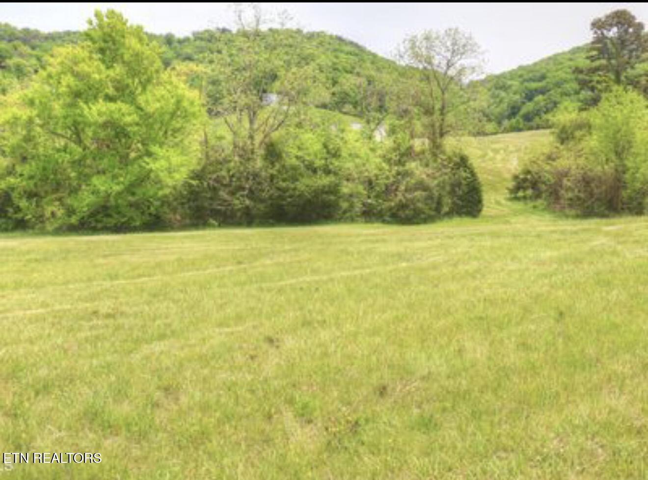 Lot 230 Ruth Circle, Sharps Chapel, TN - Norris Lake Real Estate - Image# 23