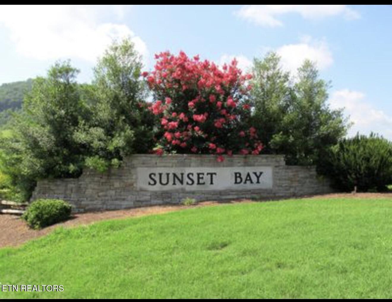 Lot 230 Ruth Circle, Sharps Chapel, TN - Norris Lake Real Estate - Image# 36