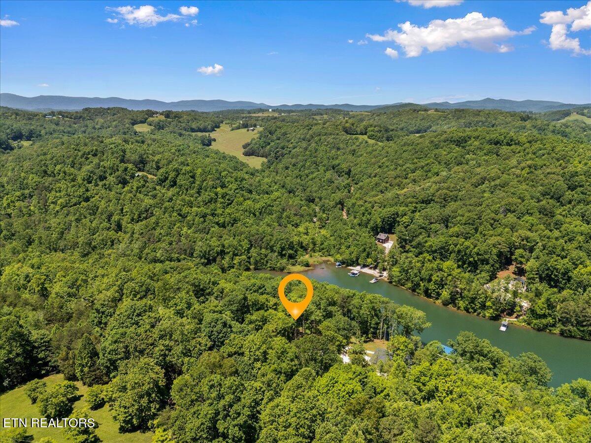 Shanghai Landing Lane, Lafollette, TN - Norris Lake Real Estate - Image# 6