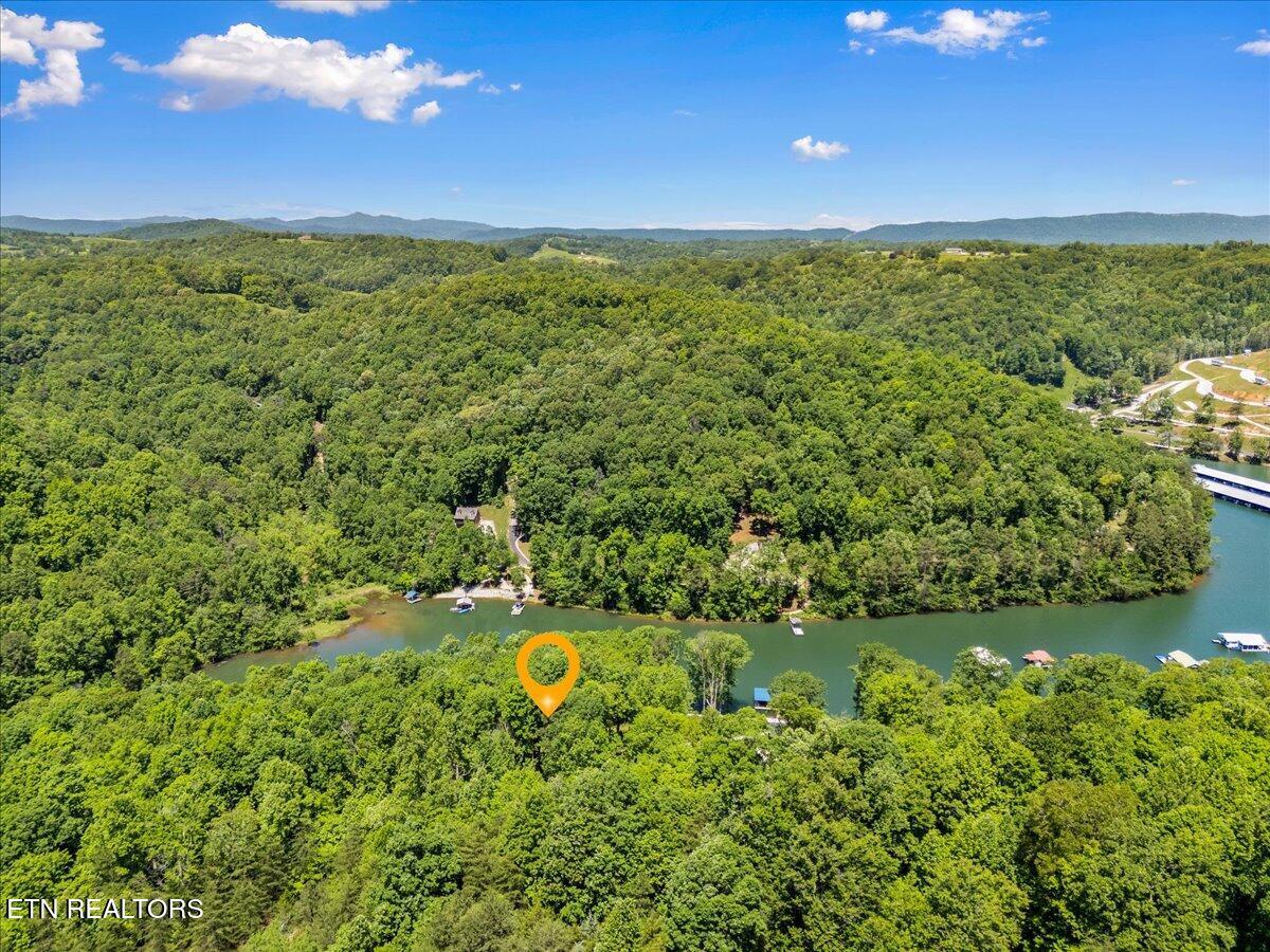Shanghai Landing Lane, Lafollette, TN - Norris Lake Real Estate - Image# 7