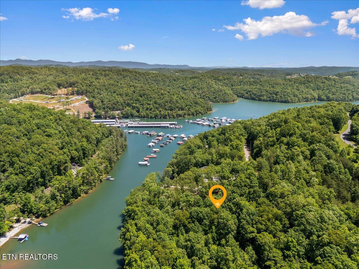 Shanghai Landing Lane, Lafollette, TN - Norris Lake Real Estate - Image# 8