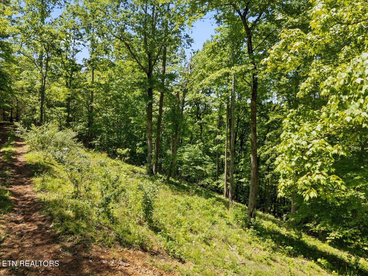 Shanghai Landing Lane, Lafollette, TN - Norris Lake Real Estate - Image# 14