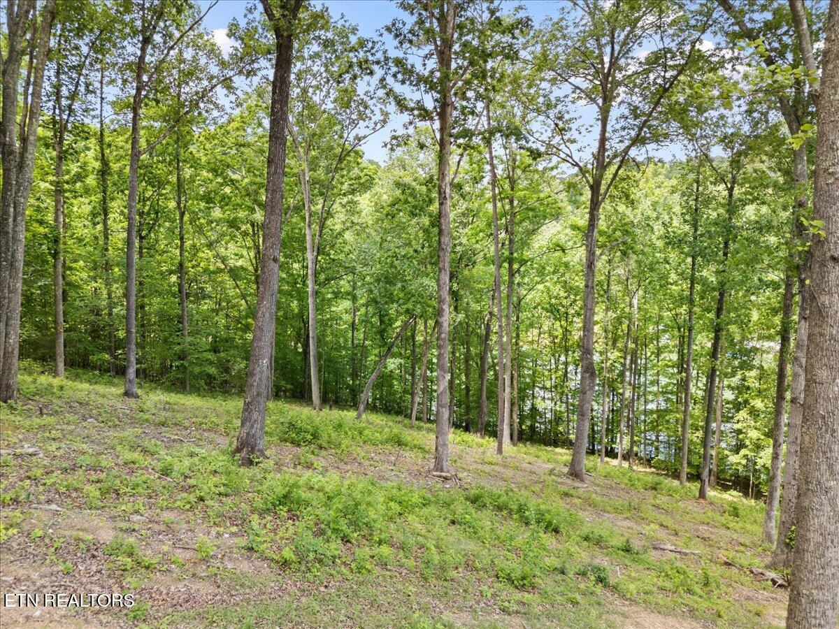 Shanghai Landing Lane, Lafollette, TN - Norris Lake Real Estate - Image# 16