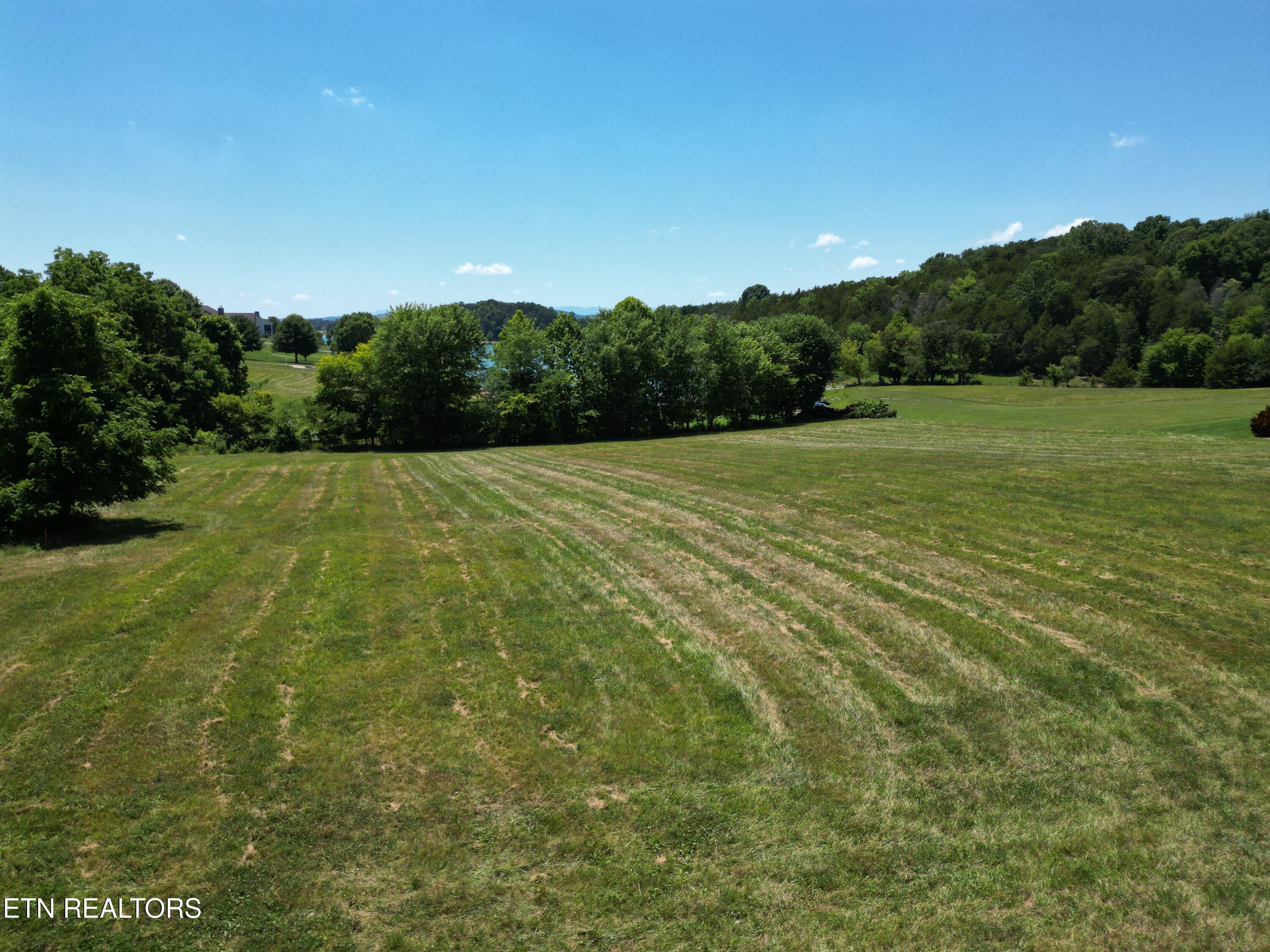 Norris Lake Real Estate - Image# 6