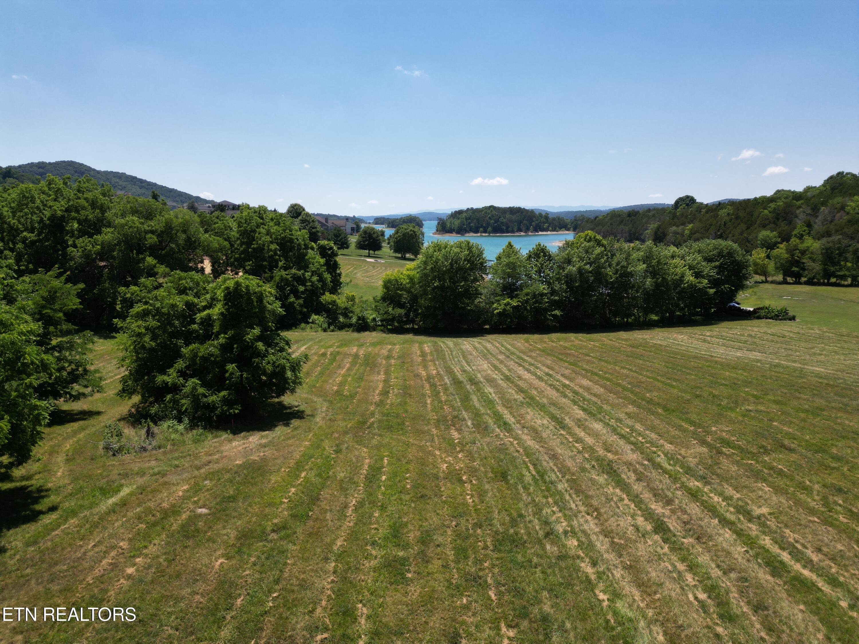 Norris Lake Real Estate - Image# 7