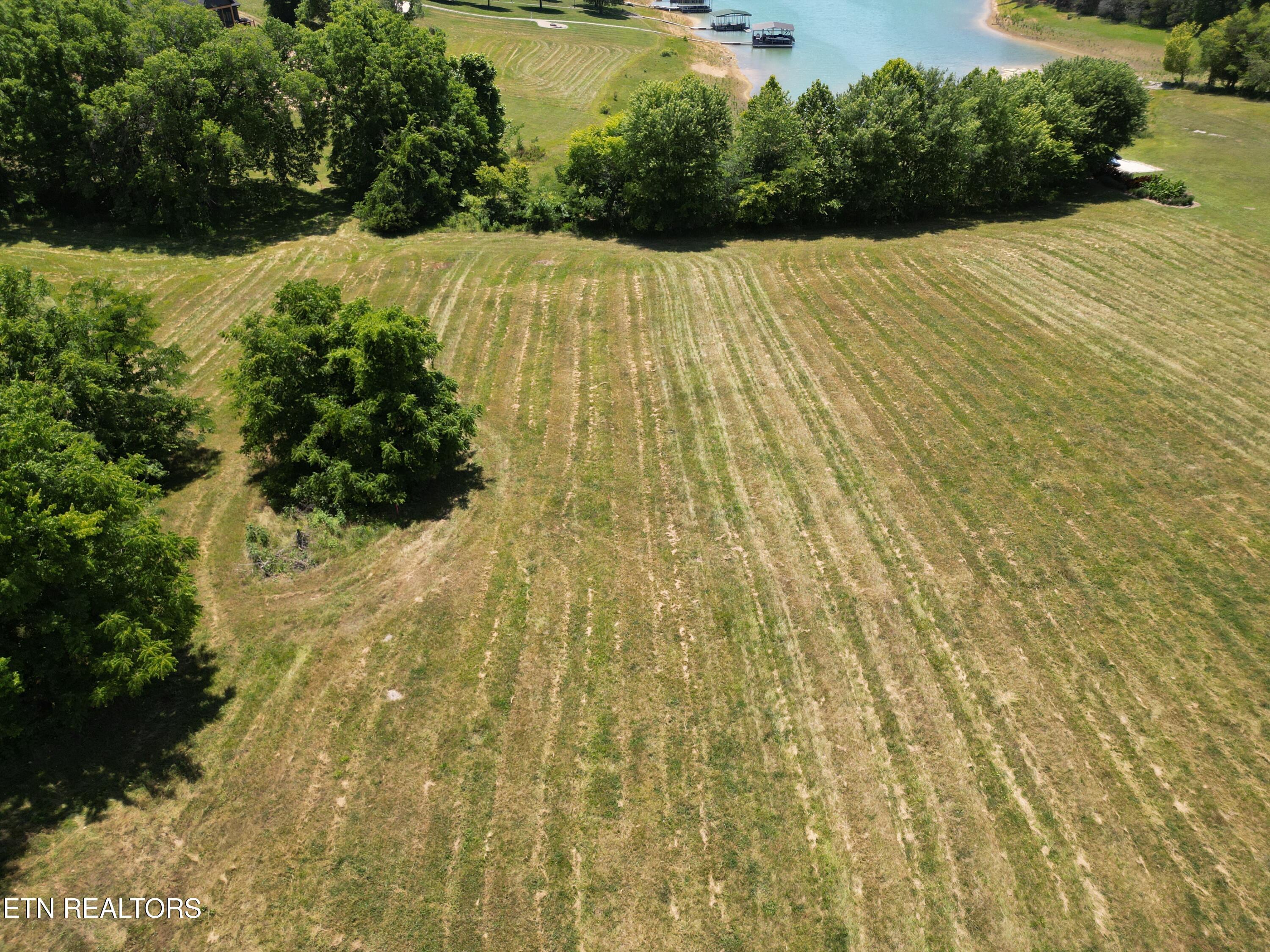 Norris Lake Real Estate - Image# 8
