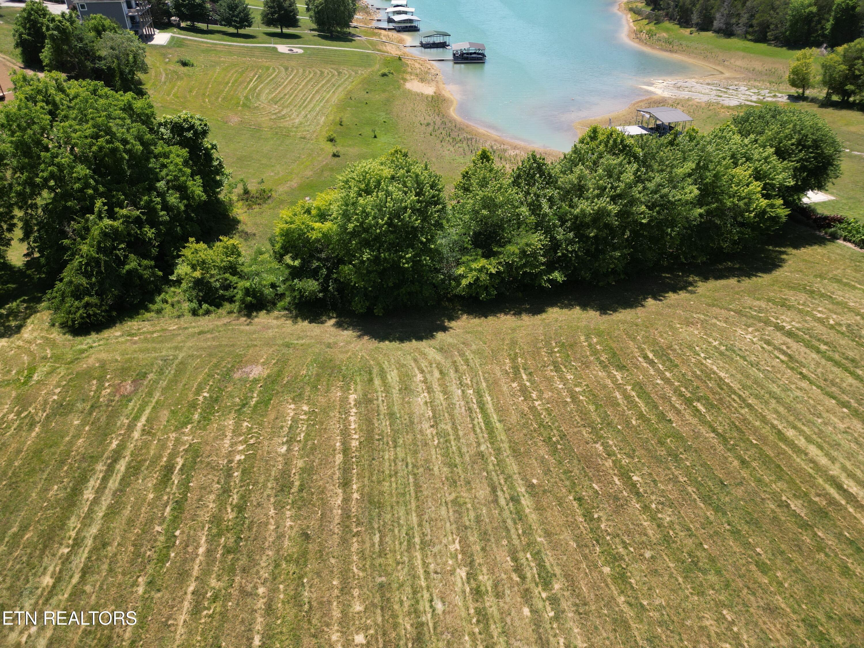 Norris Lake Real Estate - Image# 9