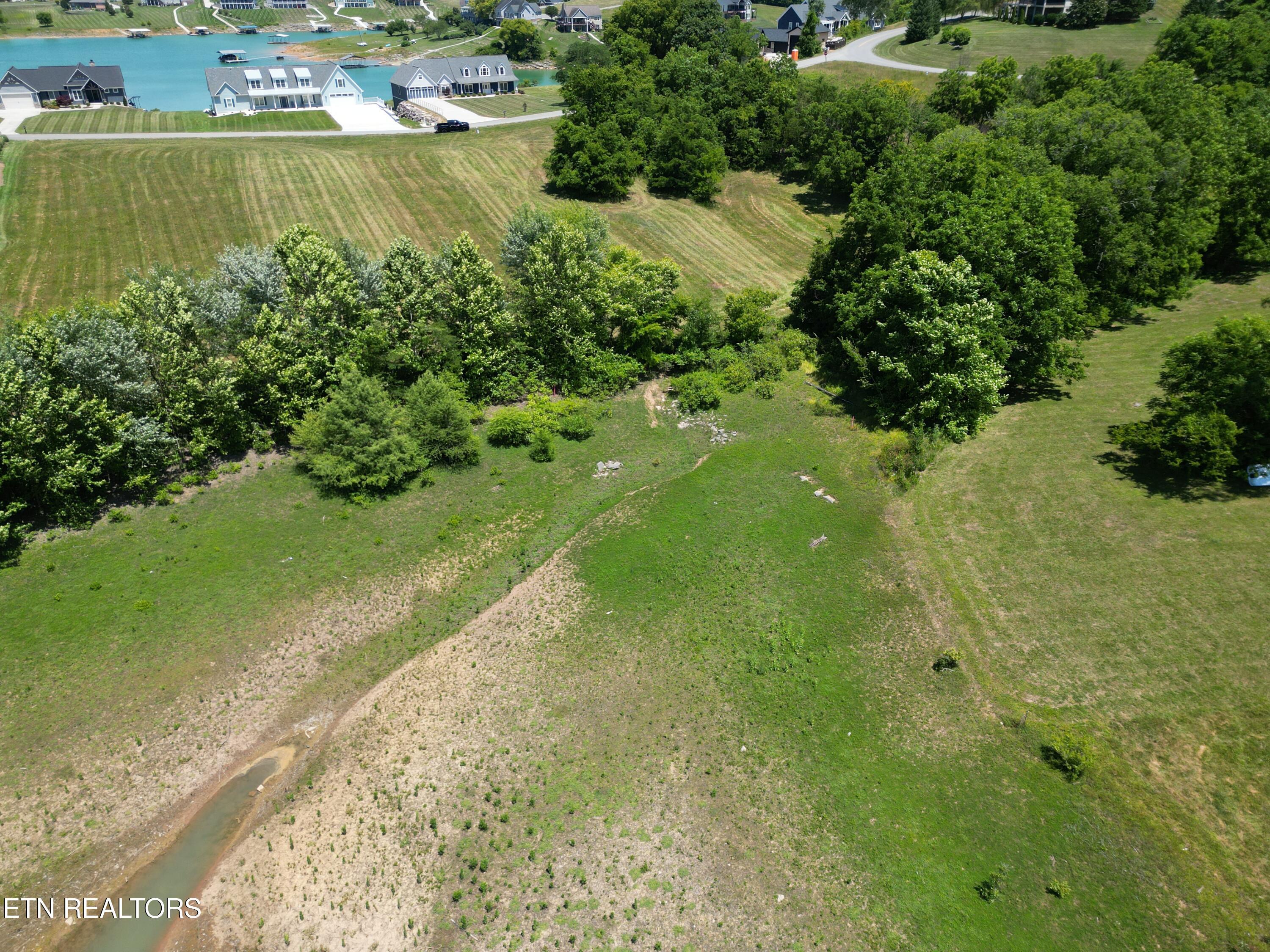 Norris Lake Real Estate - Image# 4