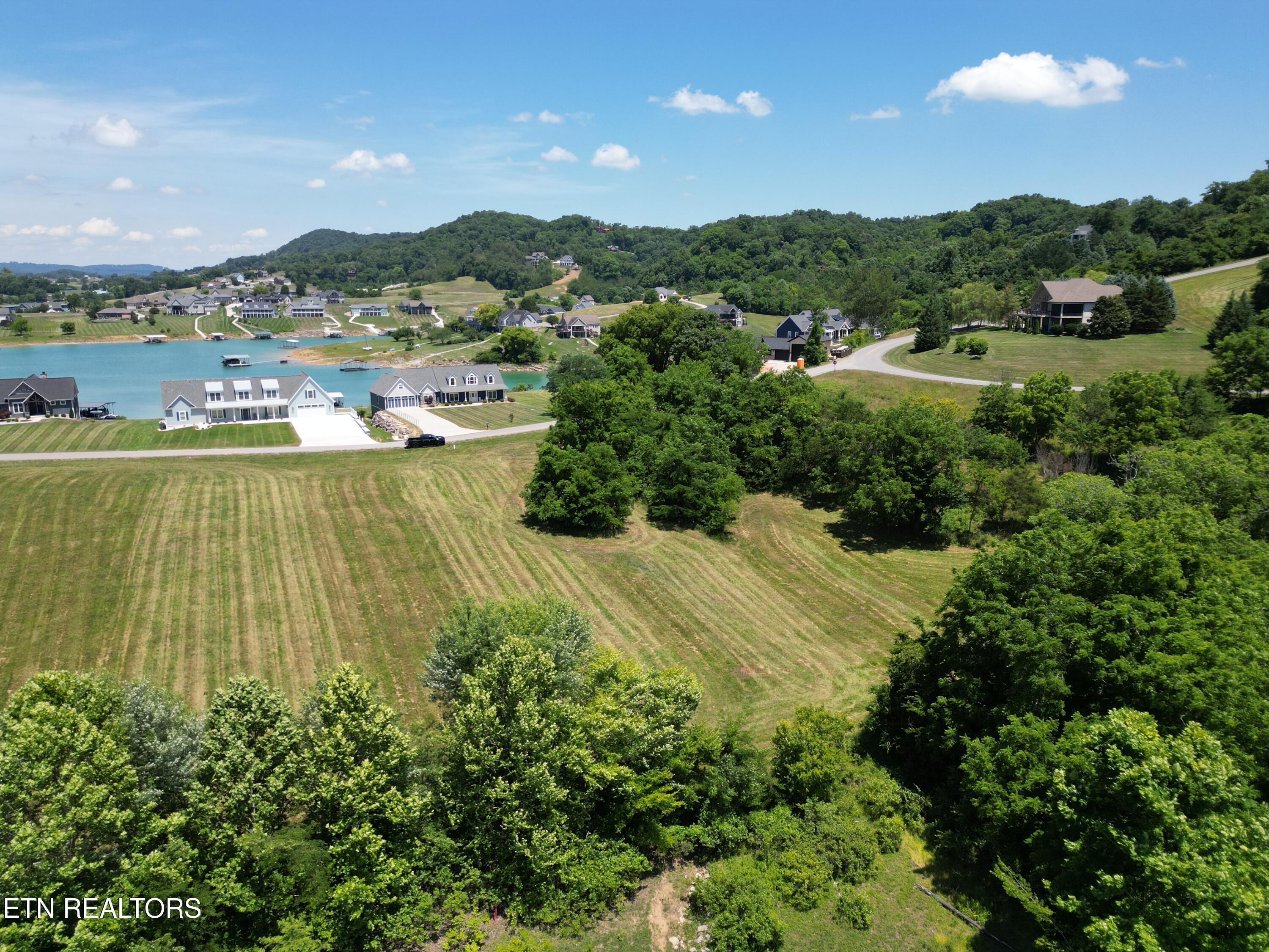 Norris Lake Real Estate - Image# 5