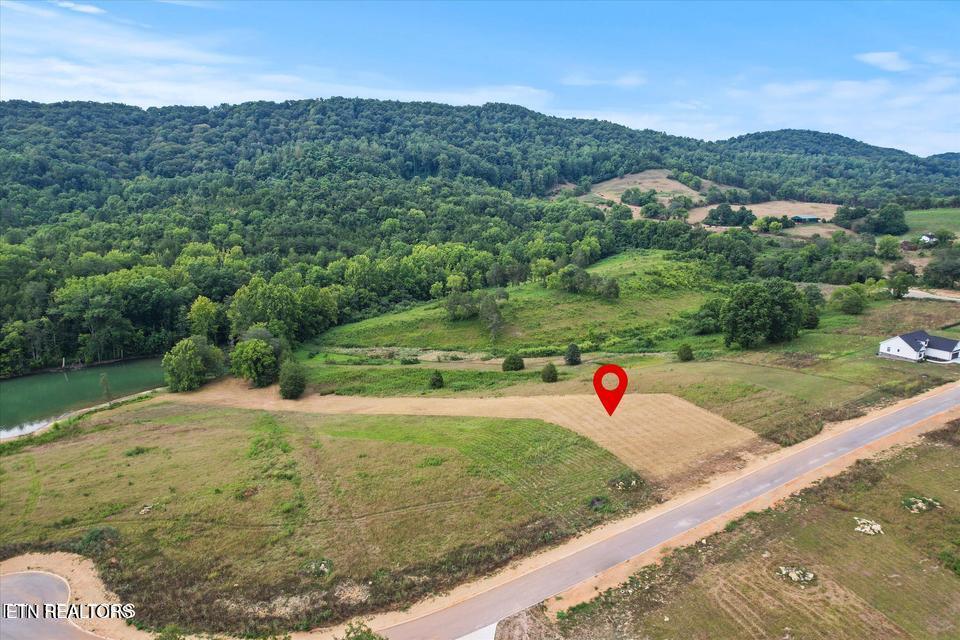 Lot 24 Waterfront Knoll, Sharps Chapel, TN - Norris Lake Real Estate - Image# 8
