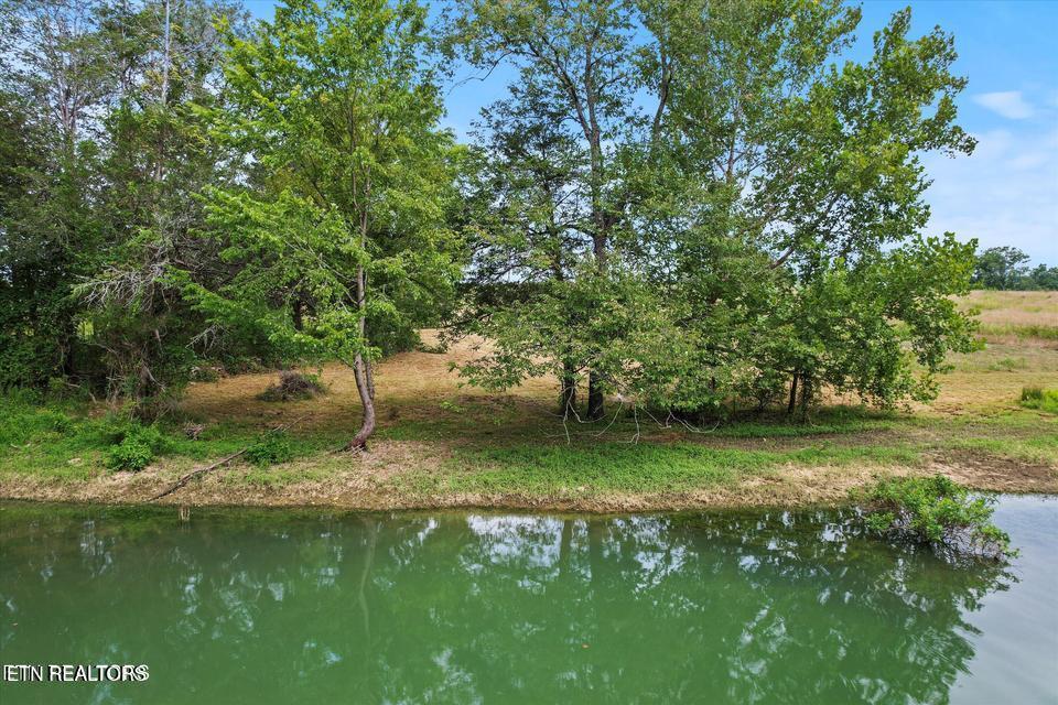 Lot 24 Waterfront Knoll, Sharps Chapel, TN - Norris Lake Real Estate - Image# 11