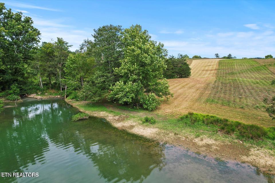 Lot 24 Waterfront Knoll, Sharps Chapel, TN - Norris Lake Real Estate - Image# 12