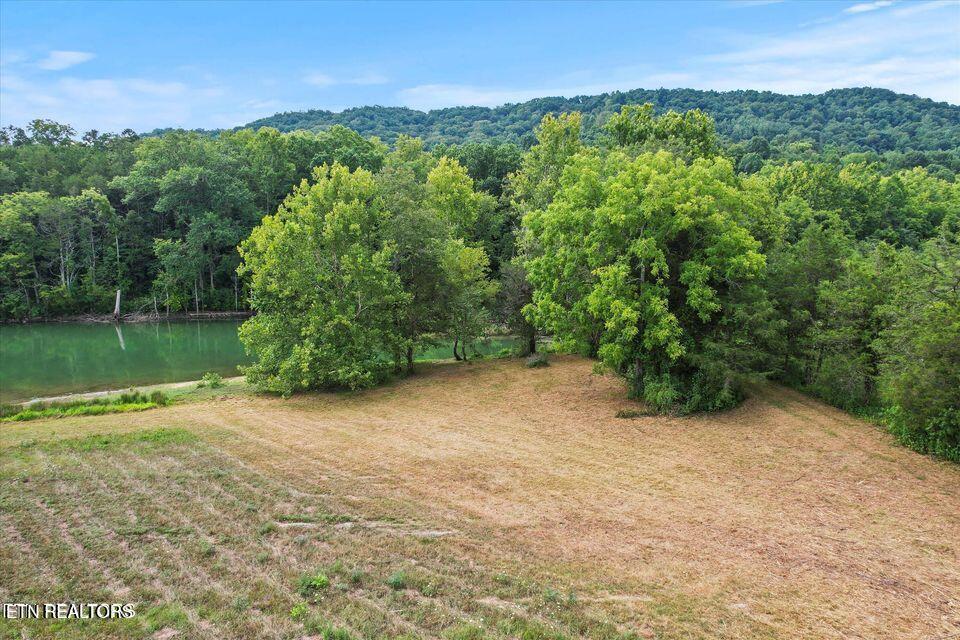 Lot 24 Waterfront Knoll, Sharps Chapel, TN - Norris Lake Real Estate - Image# 13