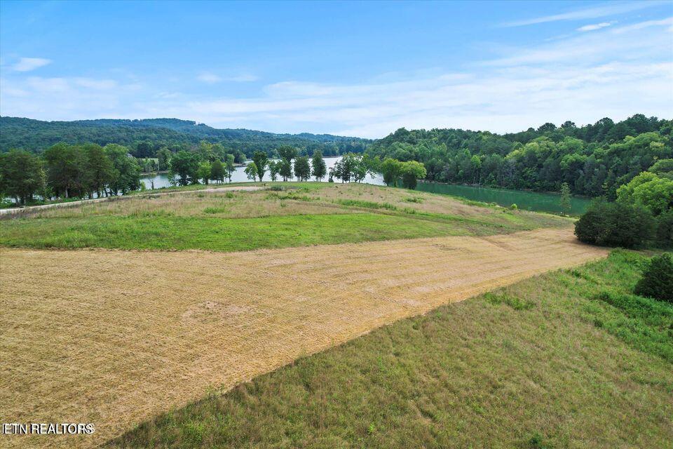 Lot 24 Waterfront Knoll, Sharps Chapel, TN - Norris Lake Real Estate - Image# 14