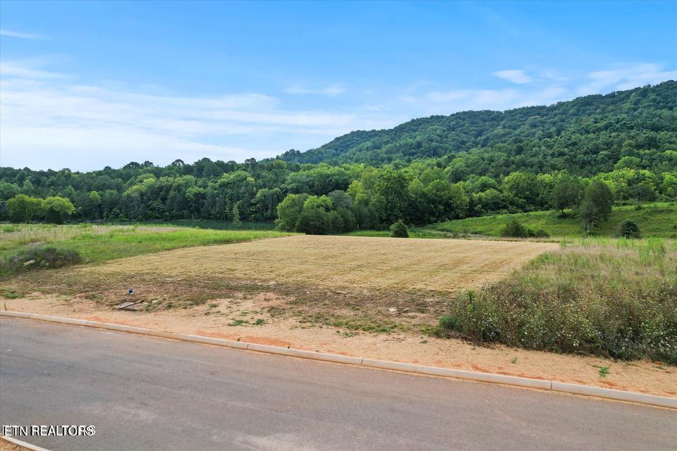 Lot 24 Waterfront Knoll, Sharps Chapel, TN - Norris Lake Real Estate - Image# 17