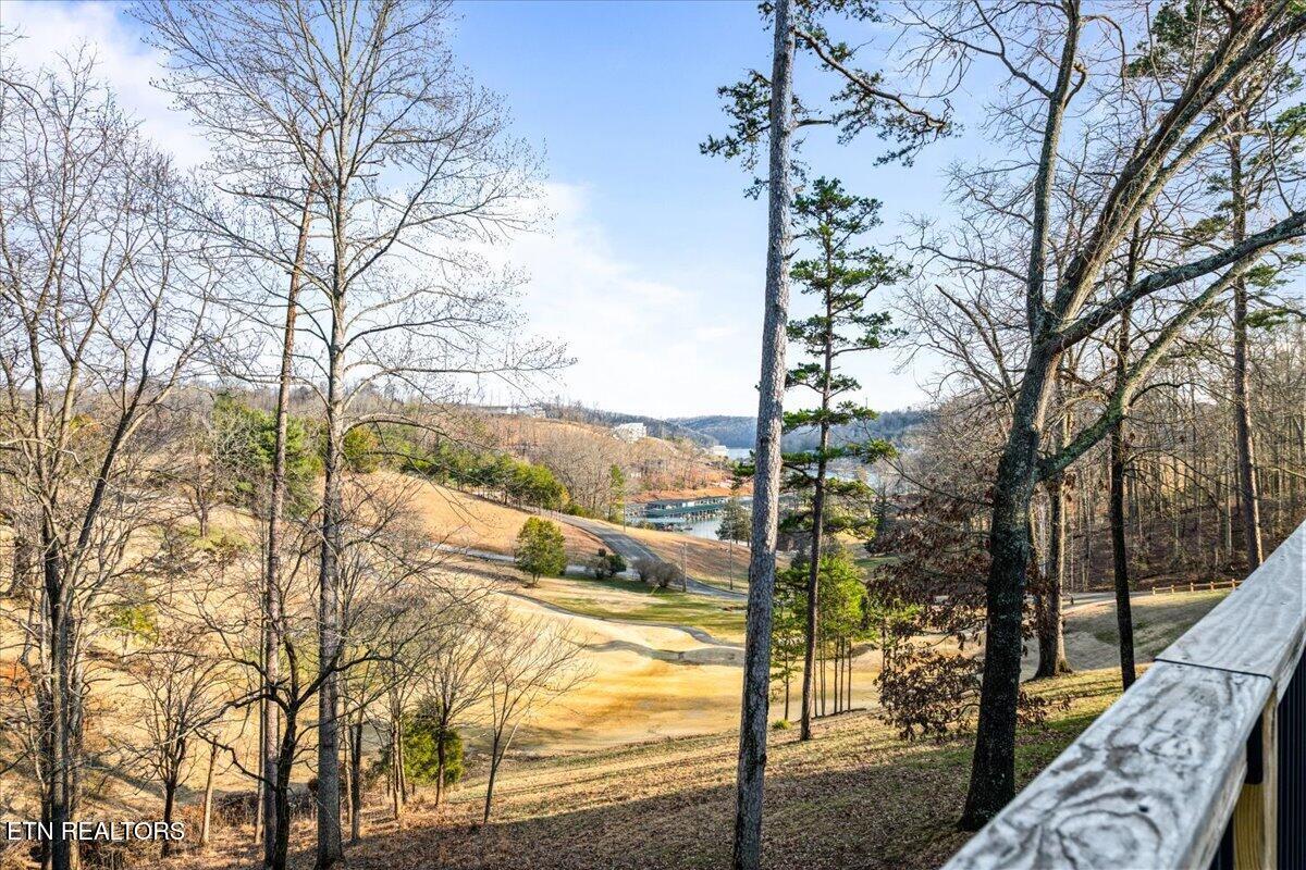 602 Wedgewood Lane, Lafollette, TN - Norris Lake Real Estate - Image# 51