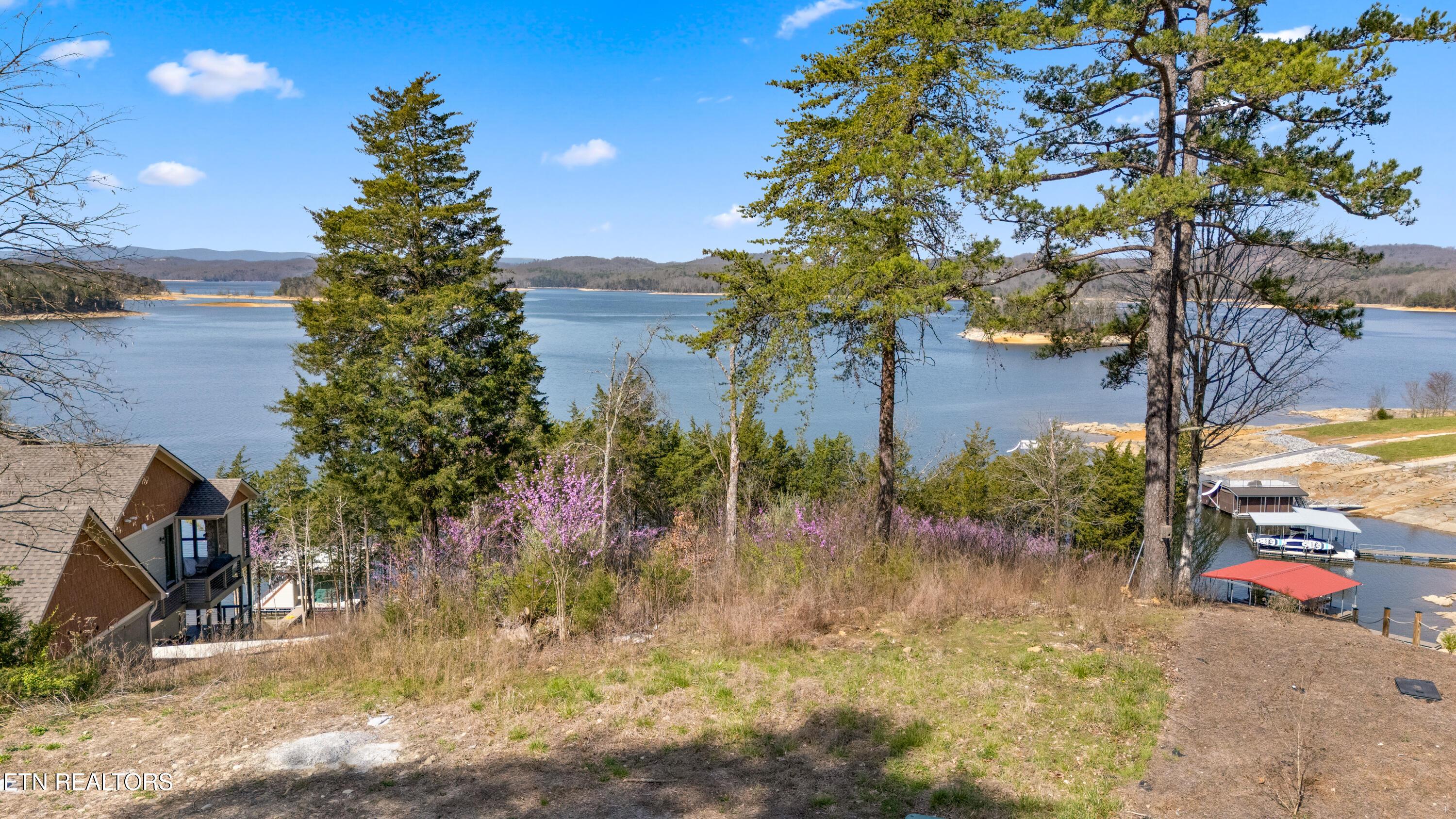 Lot 765 Russell Brothers Rd, Sharps Chapel, TN - Norris Lake Real Estate - Image# 3