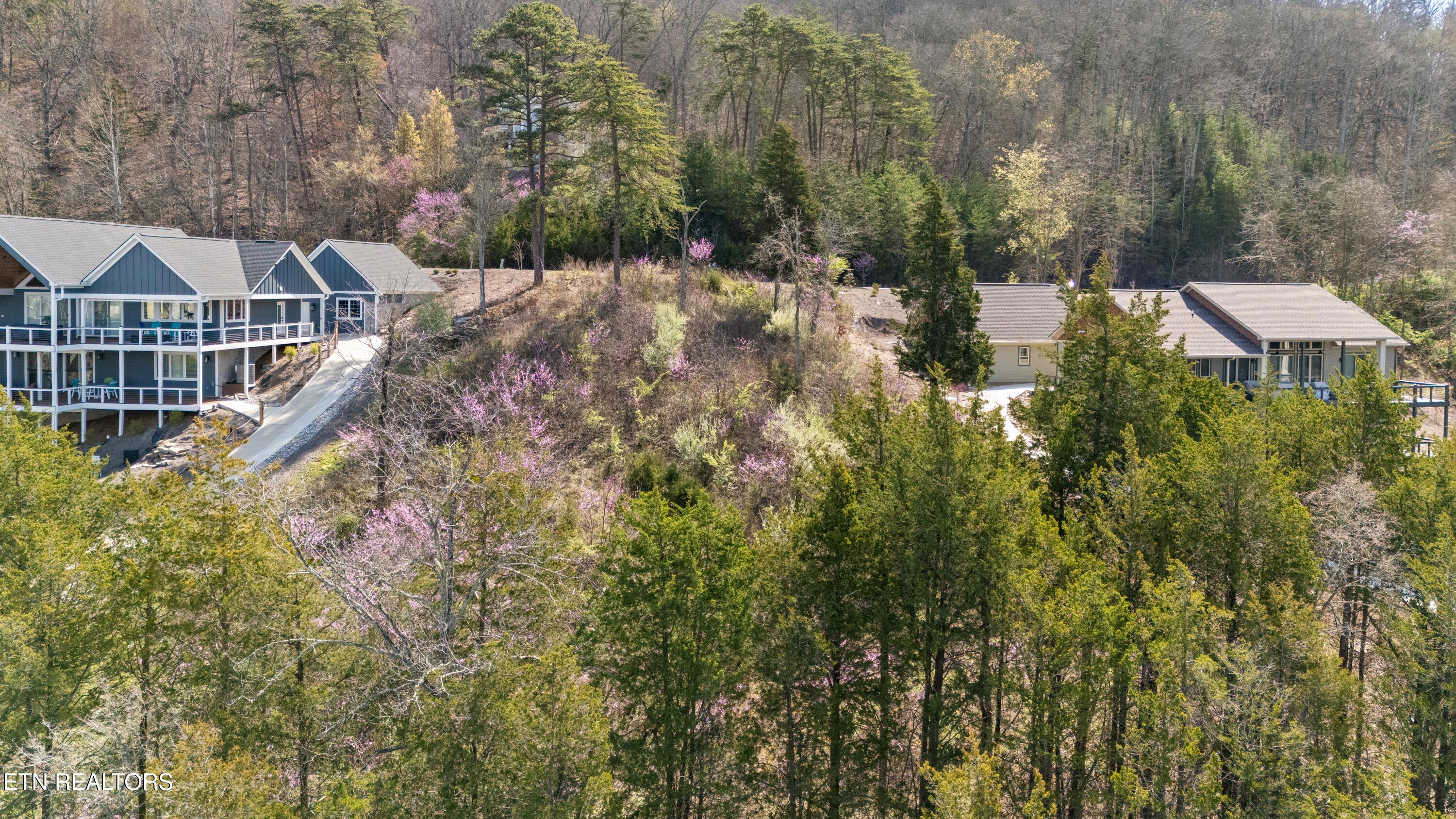 Lot 765 Russell Brothers Rd, Sharps Chapel, TN - Norris Lake Real Estate - Image# 27